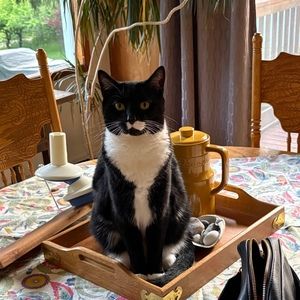 Meet your Posher, Jane